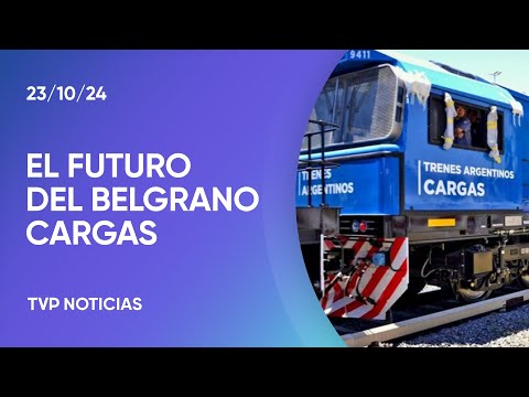 Qué es el Belgrano Cargas, la empresa que el Gobierno anunció que privatizará