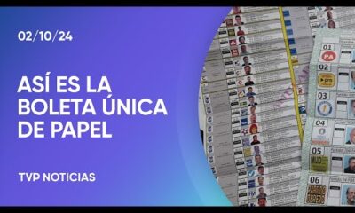 Qué es y cómo funciona la boleta única de papel aprobada en el Congreso