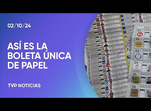 Qué es y cómo funciona la boleta única de papel aprobada en el Congreso