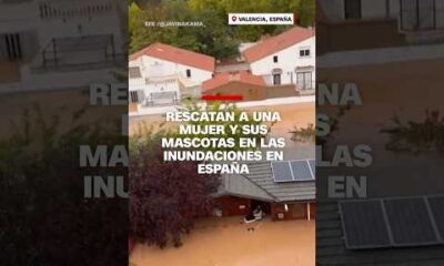 Rescatan a una mujer y sus mascotas tras inundaciones en España