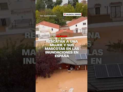 Rescatan a una mujer y sus mascotas tras inundaciones en España Rescatan a una mujer y sus mascotas tras inundaciones en España