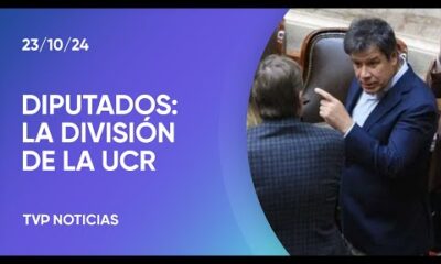 Ruptura en el bloque de la UCR en Diputados