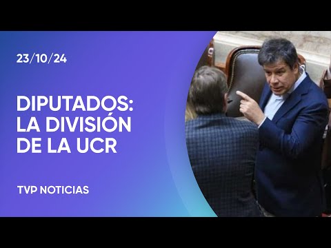 Ruptura en el bloque de la UCR en Diputados