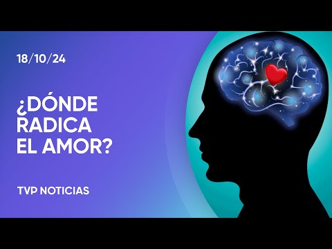 ¿Se ama con el corazón o con la cabeza