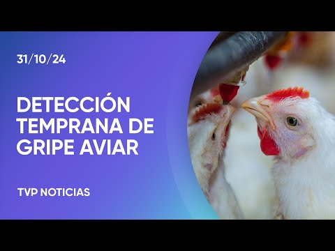 Senasa actualiza sus técnicas: avanza la detección temprana de gripe aviar Senasa actualiza sus técnicas: avanza la detección temprana de gripe aviar