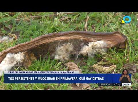 Tos persistente y mucosidad en primavera: qué hay detrás