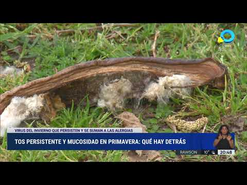Tos persistente y mucosidad en primavera: qué hay detrás Tos persistente y mucosidad en primavera: qué hay detrás