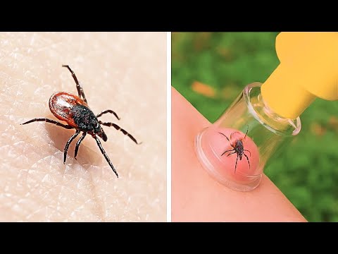 Transforma Tu Rutina: Divertidos Hacks de Vida y Gadgets para una Vida Sin Complicaciones!