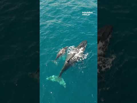 Una maravilla de la naturaleza