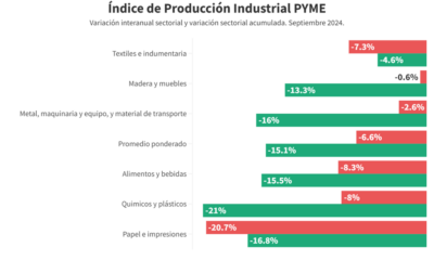 PREOCUPANTE: La industria Pyme vuelve a caer según la CAME