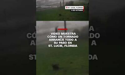 Video muestra cómo un tornado arranca todo a su paso en St. Lucie, Florida