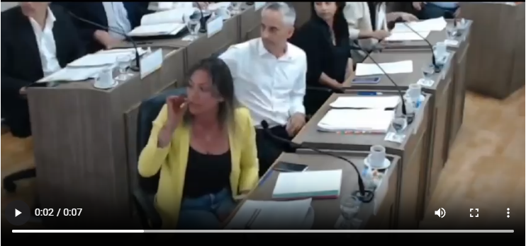 San Luis – Otra sesión caótica del Concejo Deliberante San Luis – Otra sesión caótica del Concejo Deliberante