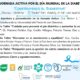 Jornada activa por el Día Mundial de la Diabetes, “Construyendo el Bienestar”