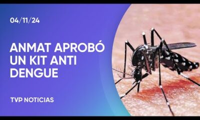 Anmat aprobó un kit creado por científicos argentinos para detección temprana de dengue