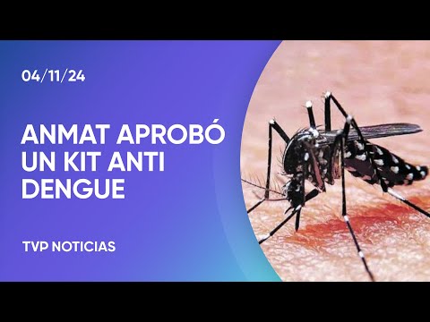 Anmat aprobó un kit creado por científicos argentinos para detección temprana de dengue
