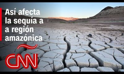 Así afecta la crisis climática a la región amazónica