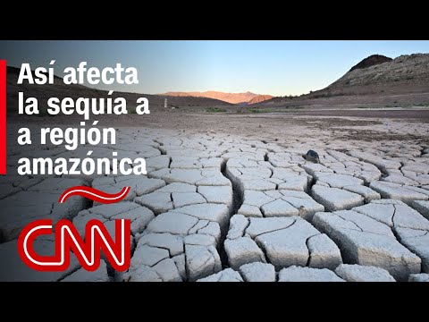 Así afecta la crisis climática a la región amazónica Así afecta la crisis climática a la región amazónica