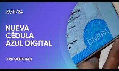 Cédula azul: ahora se podrá gestionar de manera digital