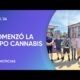 Comenzó la Expo Cannabis 2024 en Buenos Aires