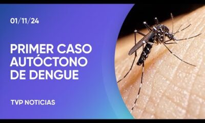 Confirmaron el primer caso de dengue autóctono en la provincia de Buenos Aires