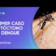 Confirmaron el primer caso de dengue autóctono en la provincia de Buenos Aires