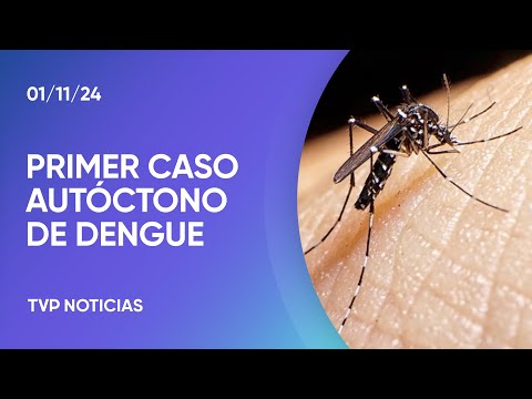 Confirmaron el primer caso de dengue autóctono en la provincia de Buenos Aires