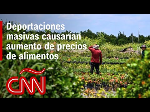 Deportaciones masivas de migrantes indocumentados causarían aumento de precios de alimentos