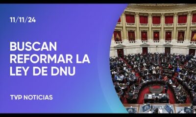 Diputados: la oposición busca avanzar en la reforma de la ley de DNU