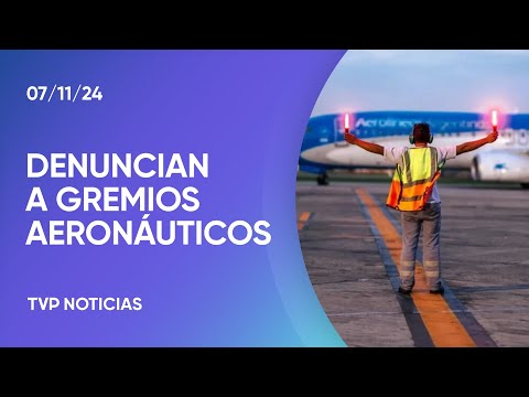 El Gobierno e Intercargo denuncian a gremios aeronáuticos El Gobierno e Intercargo denuncian a gremios aeronáuticos