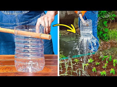 IDEAS DE CULTIVO DE PLANTAS DIY 🪴 LOS MEJORES CONSEJOS DE JARDINERÍA IDEAS DE CULTIVO DE PLANTAS DIY 🪴 LOS MEJORES CONSEJOS DE JARDINERÍA