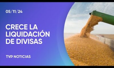 La liquidación de divisas del agro creció 243%