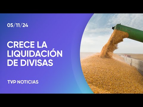 La liquidación de divisas del agro creció 243% La liquidación de divisas del agro creció 243%