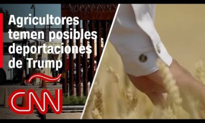 Las promesas de deportaciones masivas de Trump y su potencial impacto en la agricultura