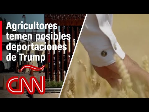 Las promesas de deportaciones masivas de Trump y su potencial impacto en la agricultura Las promesas de deportaciones masivas de Trump y su potencial impacto en la agricultura
