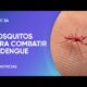 Liberan mosquitos para combatir el dengue