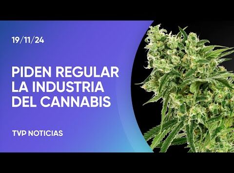 Referentes de la industria del cannabis medicinal piden una regulación urgente