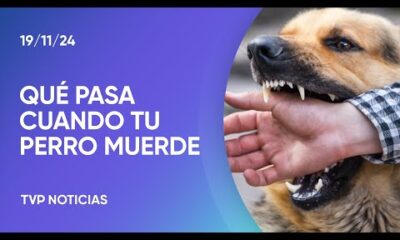 Responsabilidad civil en el caso de mordeduras de perros