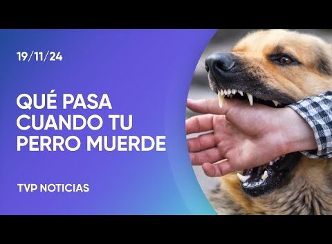 Responsabilidad civil en el caso de mordeduras de perros