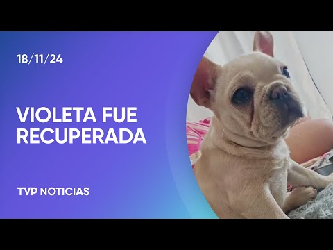 Robaron una camioneta y se llevaron a la perrita de la familia Robaron una camioneta y se llevaron a la perrita de la familia