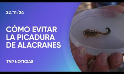 Suben las temperaturas y aparecen los alacranes