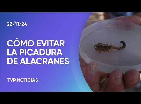 Suben las temperaturas y aparecen los alacranes