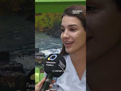 Una experiencia felina de 5 estrellas Una experiencia felina de 5 estrellas