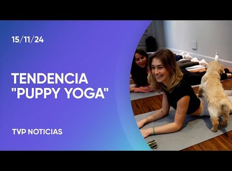 Yoga con perros en adopción: una actividad en auge