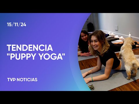 Yoga con perros en adopción: una actividad en auge Yoga con perros en adopción: una actividad en auge