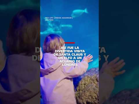 Así fue la divertida visita de Santa Claus y un elfo a un acuario de Londres Así fue la divertida visita de Santa Claus y un elfo a un acuario de Londres