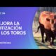 Campo: Mejora la cotización en la venta de los toros reproductores