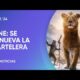 Cine de estreno: “Atrapa almas” y “Mufasa: El Rey León”, las novedades