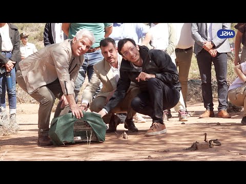 Claudio Poggi participa del 33° aniversario del Parque Nacional Sierra de Las Quijadas
