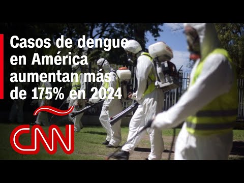 Dengue sin freno en América: ¿por qué los gobiernos no pueden detener los contagios? Dengue sin freno en América: ¿por qué los gobiernos no pueden detener los contagios?