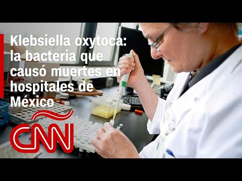 Klebsiella oxytoca: la bacteria que causó muertes en hospitales de México Klebsiella oxytoca: la bacteria que causó muertes en hospitales de México